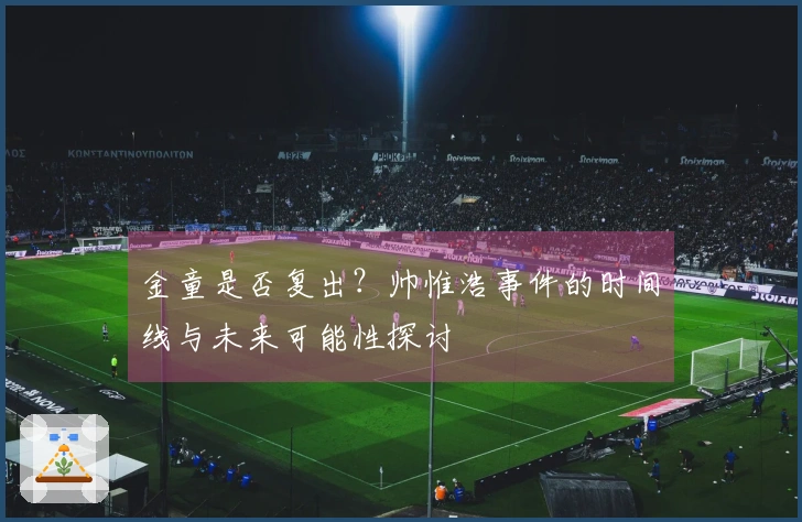 金童是否复出？帅惟浩事件的时间线与未来可能性探讨